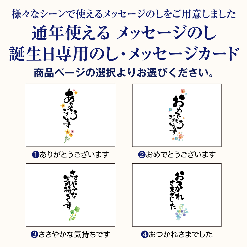 通年のし01