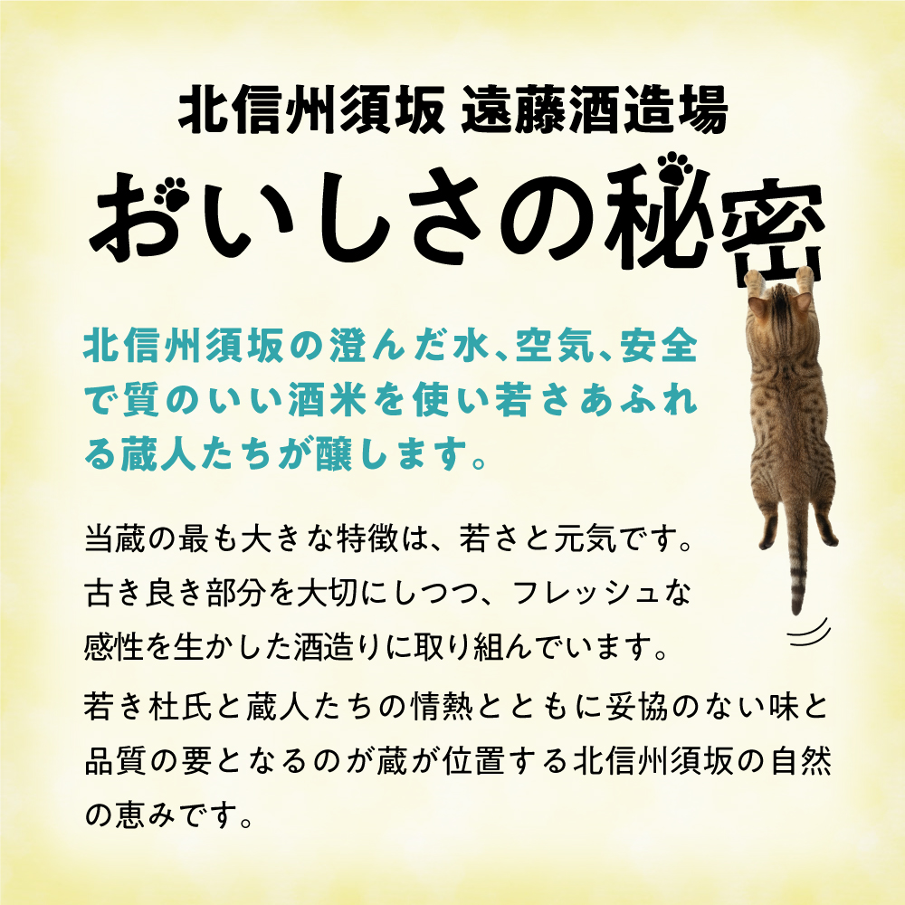 三猫子 300ml